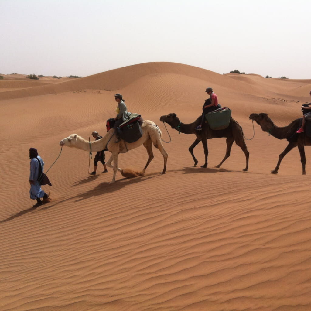 Voyage initiatique du 10 au 17 novembre 2019 7 Voyage initiatique maroc 1024x1024 1